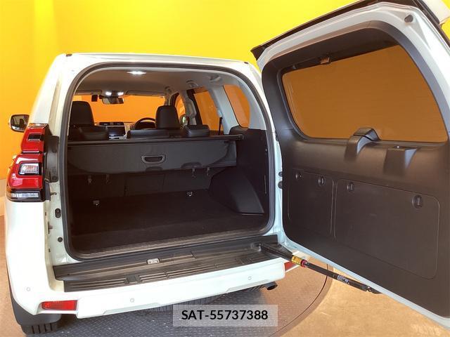 Toyota LAND CRUISER PRADO 2020-03 8276743-17