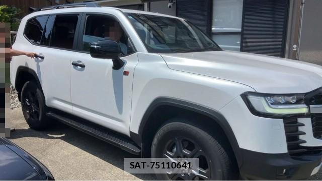 Toyota LAND CRUISER 2024-05 8282018-3