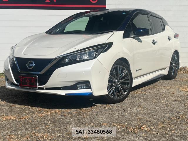 Nissan LEAF 2018-01 8277960-1