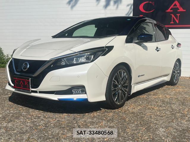 Nissan LEAF 2018-01 8277960-10