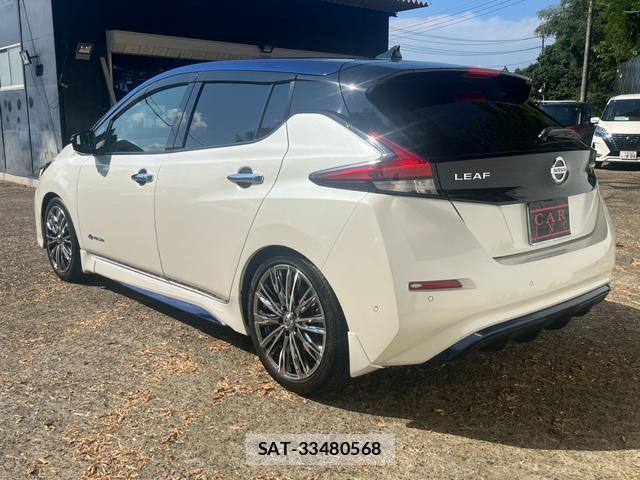 Nissan LEAF 2018-01 8277960-18