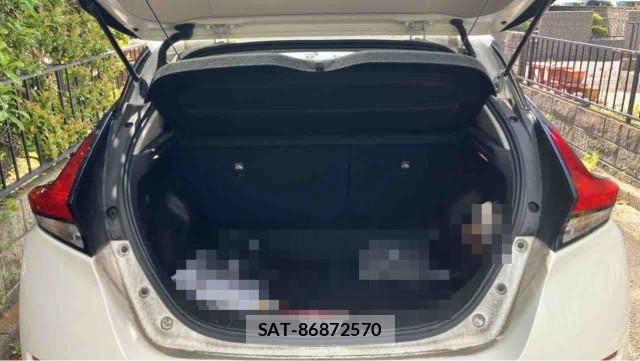 Nissan LEAF 2018-02 8282235-17