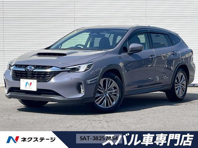 Subaru LAYBACK 2024-03 8282522-0