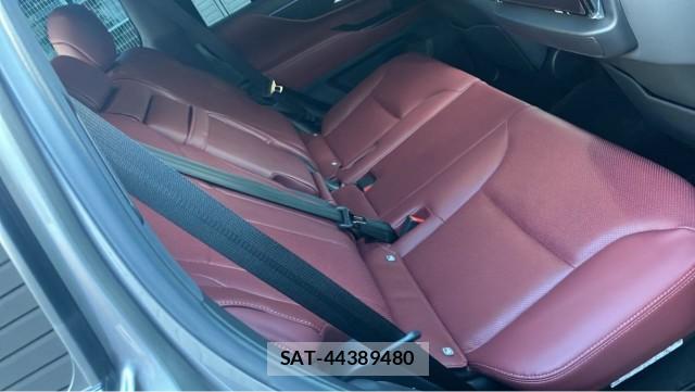Lexus LX 2023-08 8282073-6