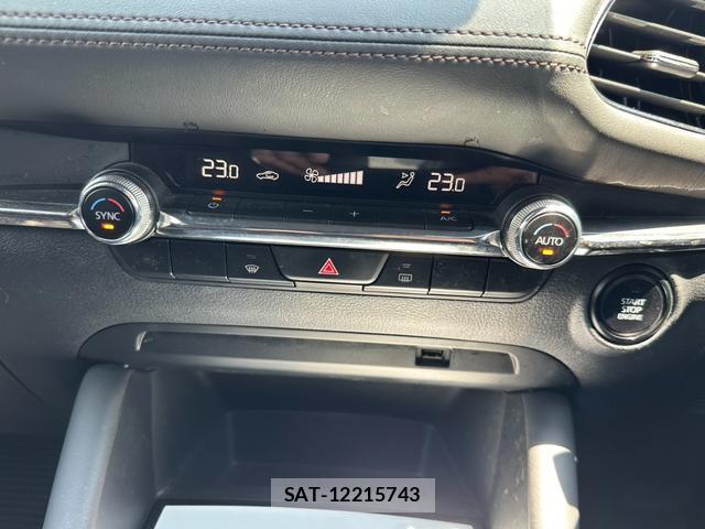 Mazda MAZDA3 2021-04 8285449-11