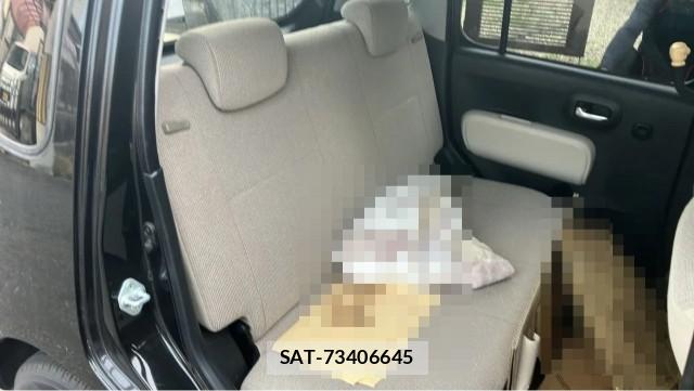 Daihatsu MIRA COCOA 2011-10 8280959-6
