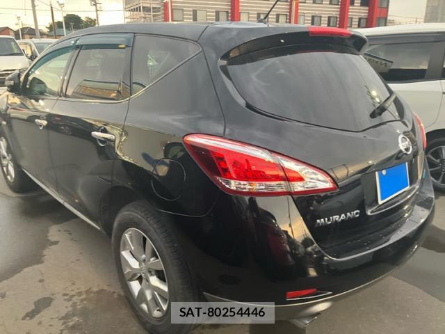 Nissan MURANO 2014-06 8279679-13