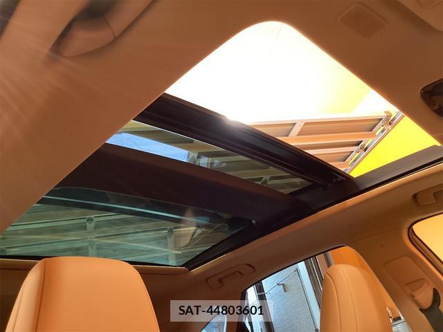 Lexus NX 2025-04 8276750-1
