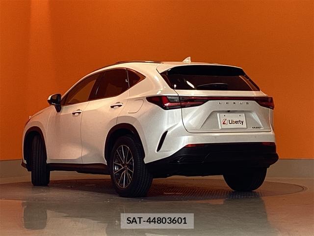 Lexus NX 2025-04 8276750-10