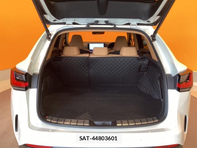 Lexus NX 2025-04 8276750-17
