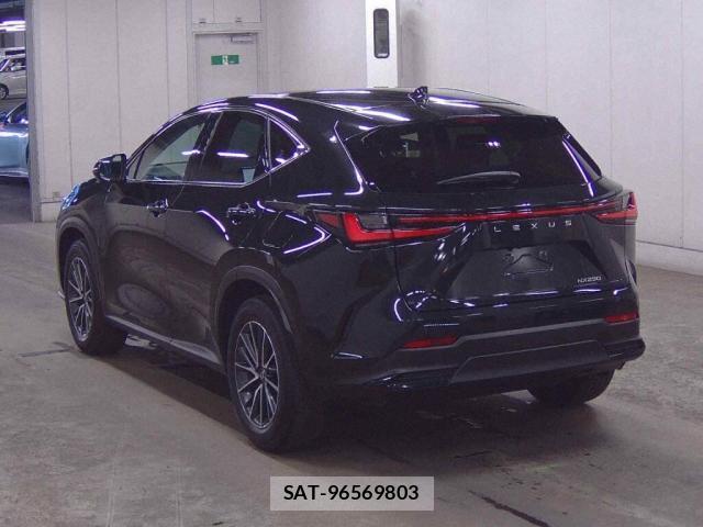 Lexus NX 2023-06 8277439-1