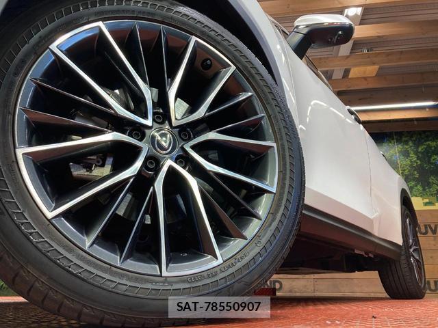 Lexus NX 2023-09 8277630-12
