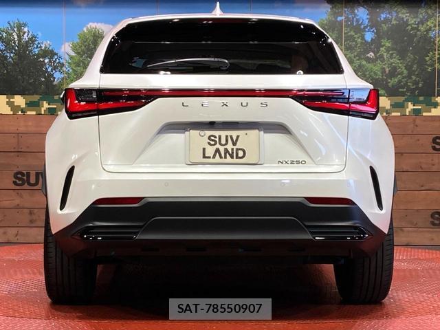 Lexus NX 2023-09 8277630-14