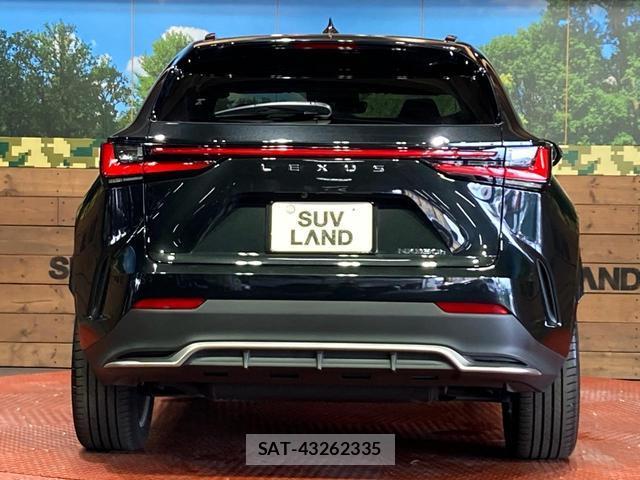 Lexus NX 2023-10 8277635-14