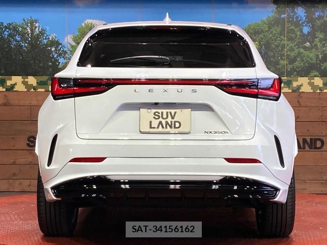 Lexus NX 2023-07 8277637-14