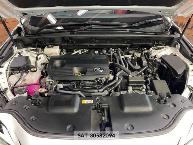 Lexus NX 2023-11 8277645-17