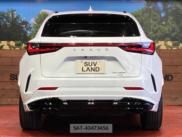 Lexus NX 2024-05 8277647-14