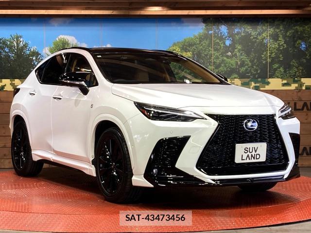 Lexus NX 2024-05 8277647-15