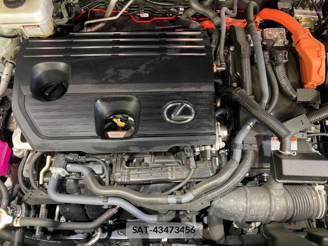 Lexus NX 2024-05 8277647-17