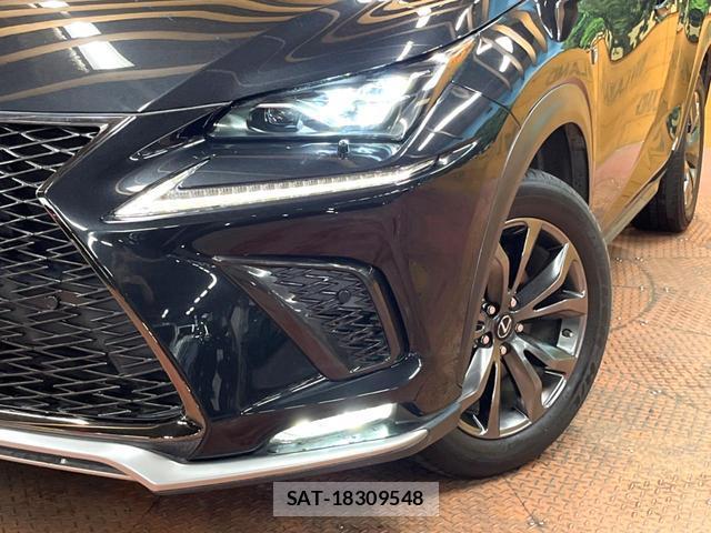 Lexus NX 2018-03 8277749-11
