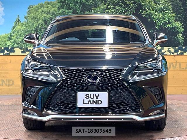 Lexus NX 2018-03 8277749-13