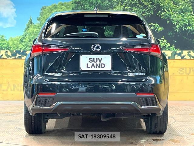 Lexus NX 2018-03 8277749-14
