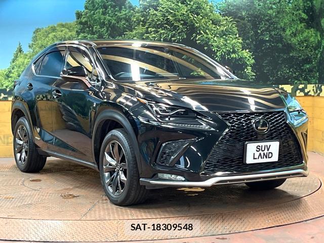 Lexus NX 2018-03 8277749-15