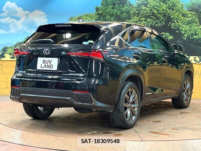 Lexus NX 2018-03 8277749-16