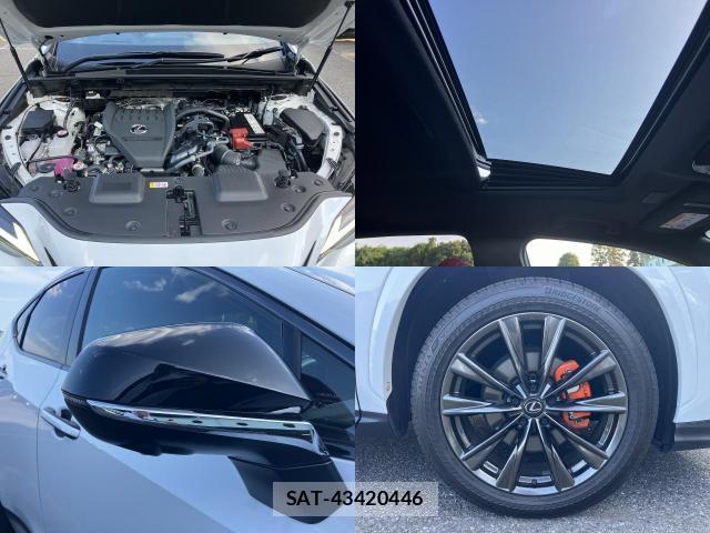 Lexus NX 2023-05 8278644-7