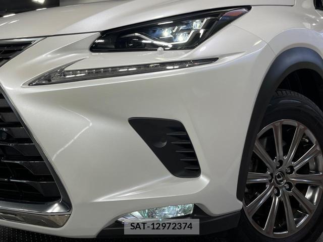 Lexus NX 2018-11 8279025-12