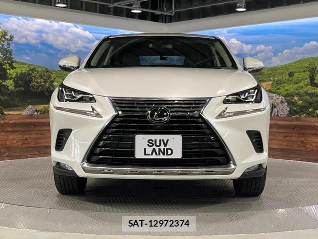 Lexus NX 2018-11 8279025-14
