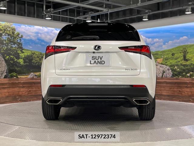Lexus NX 2018-11 8279025-15