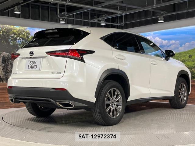 Lexus NX 2018-11 8279025-17