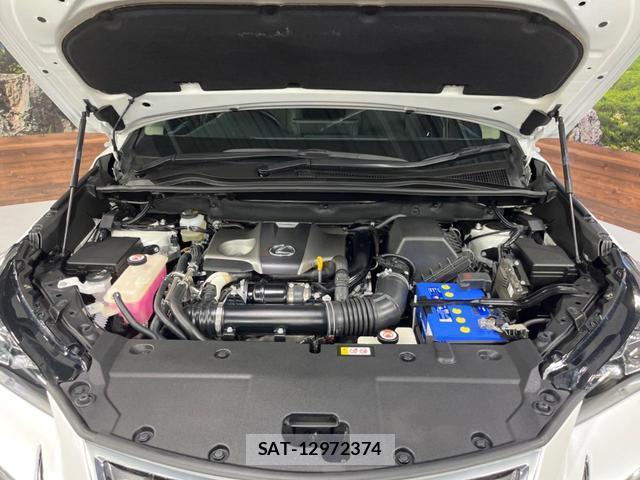 Lexus NX 2018-11 8279025-18