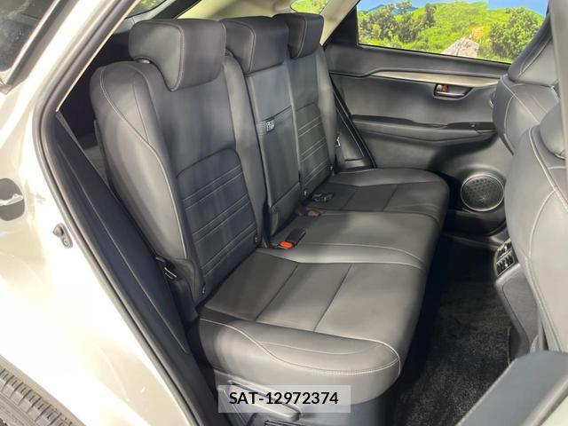 Lexus NX 2018-11 8279025-9