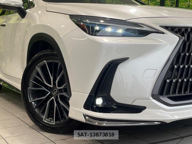 Lexus NX 2023-03 8279624-11