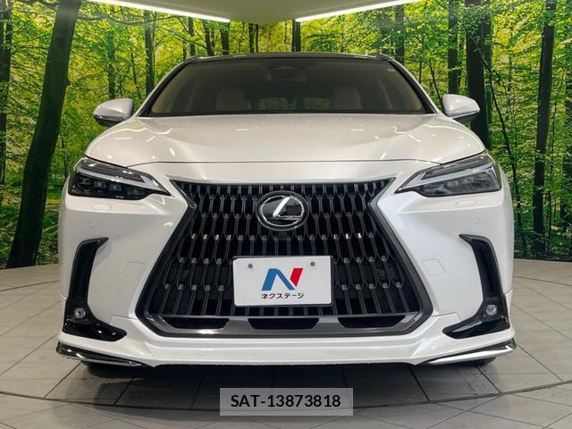 Lexus NX 2023-03 8279624-13