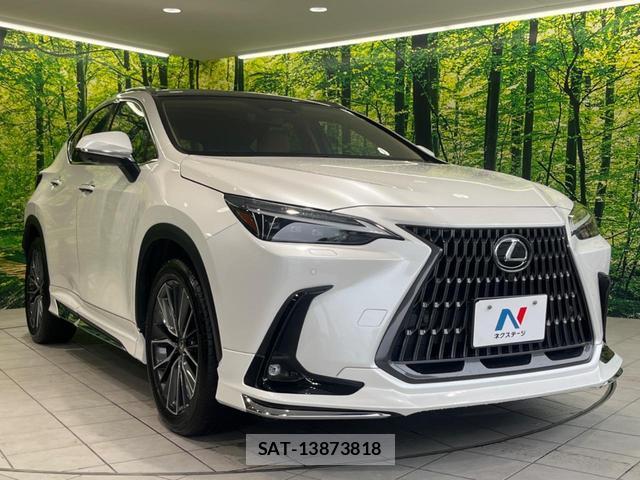 Lexus NX 2023-03 8279624-15