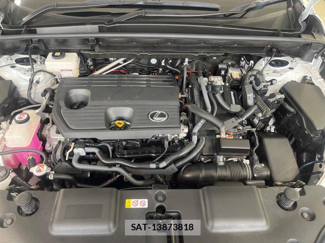 Lexus NX 2023-03 8279624-17