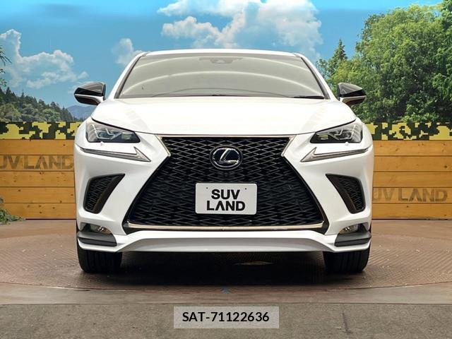 Lexus NX 2019-03 8279796-13