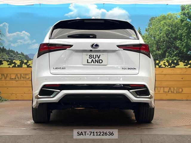 Lexus NX 2019-03 8279796-14