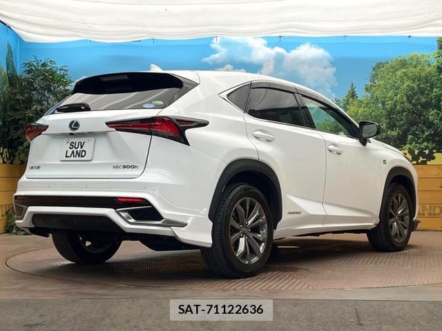 Lexus NX 2019-03 8279796-16