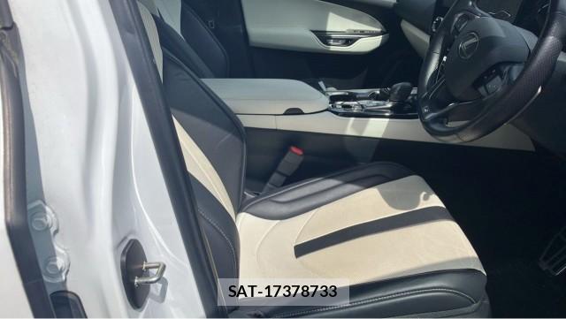 Lexus NX 2023-04 8280765-5