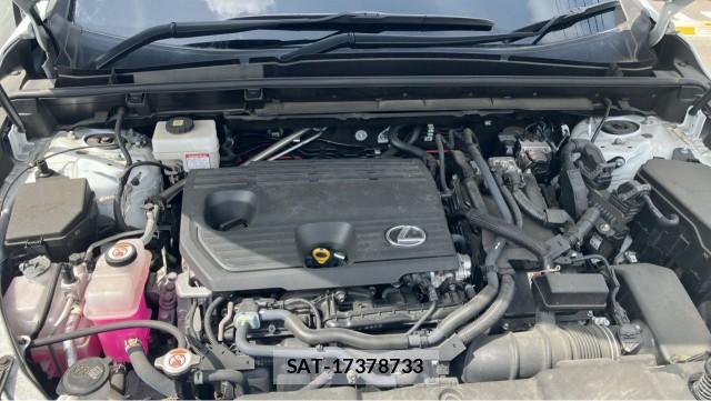 Lexus NX 2023-04 8280765-7