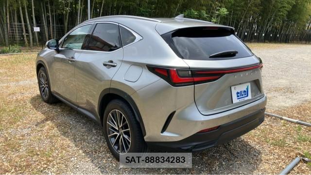 Lexus NX 2025-01 8280787-13