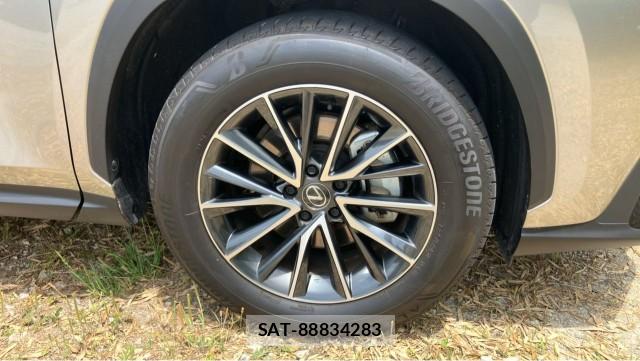Lexus NX 2025-01 8280787-8