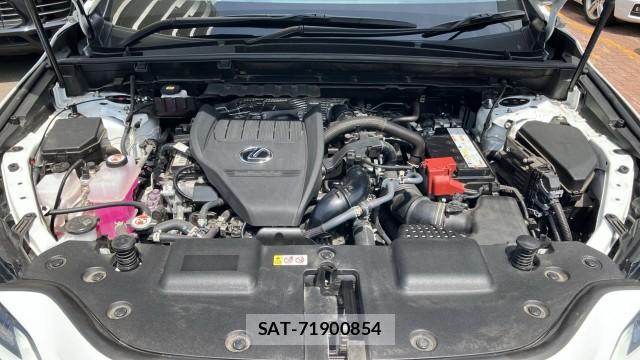Lexus NX 2025-02 8280860-7