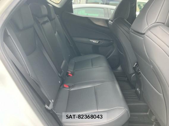 Lexus NX 2024-02 8281008-6