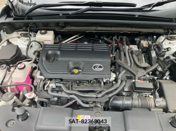 Lexus NX 2024-02 8281008-7