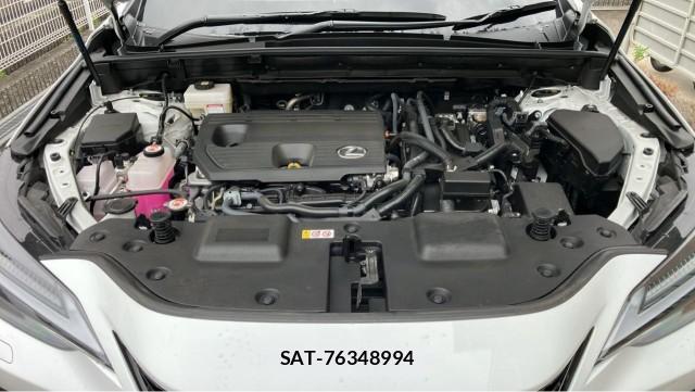 Lexus NX 2025-07 8281020-7